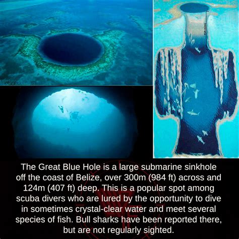 Mind Blowing Facts, The Great Blue Hole is a large submarine sinkhole...