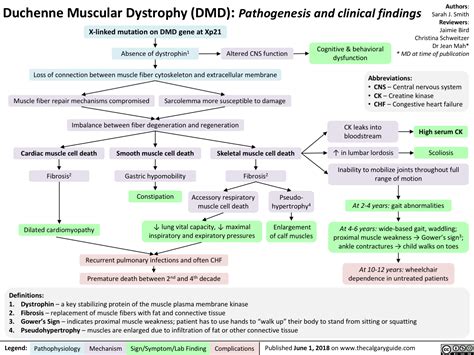 Duchenne Muscular Dystrophy (DMD) | Calgary Guide