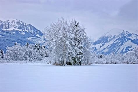 Premium Photo | Winter landscape from austria