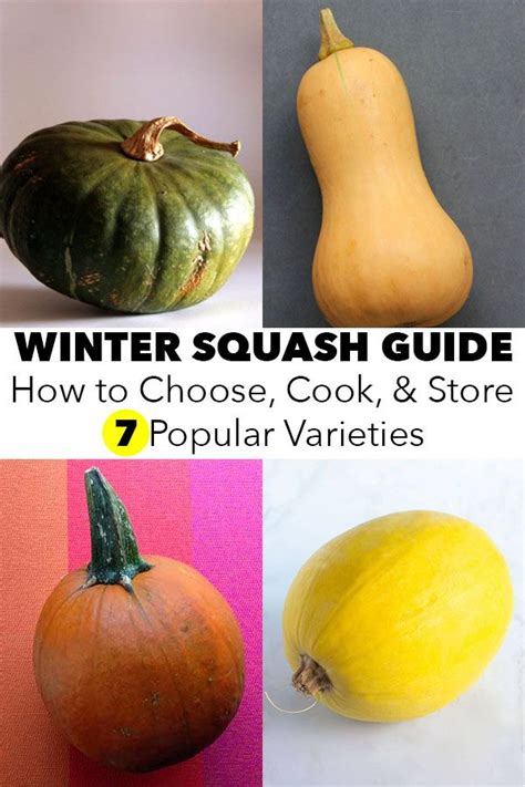 Squash Varieties - Taka Vegetable