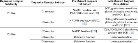 Dopamine Receptors