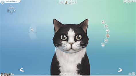 The Sims 4 Cats & Dogs: Create A Pet 101