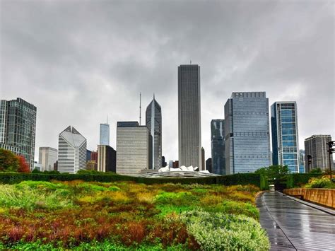 25 Best Places to See Fall Colors in Chicago