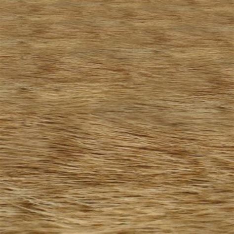 Seamless Brown Animal Fur Photo Texture - 837x422 Custom 3DPoserWorld ...