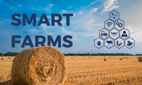 Smart Farms: What you need to know | Toustone | The data big problem