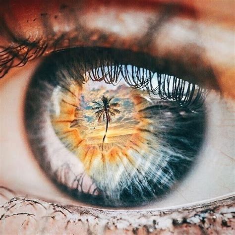 eye macro 📷👁👌 Macro Pictures, Macro Photos, Eye Photography, Artistic Photography, Window ...