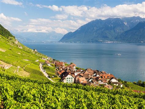 Where to Wine and Dine on Lake Geneva | Set course for Lavaux, on the ...