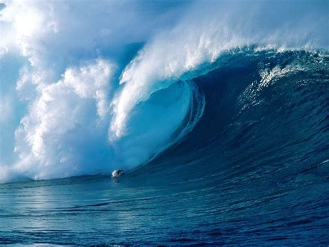 87 best images about Big Wave Surfing on Pinterest | Kelly slater, Ken block and Surf