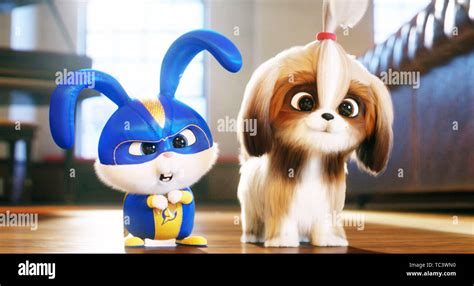 THE SECRET LIFE OF PETS 2, from left: Snowball (voice: Kevin Hart ...