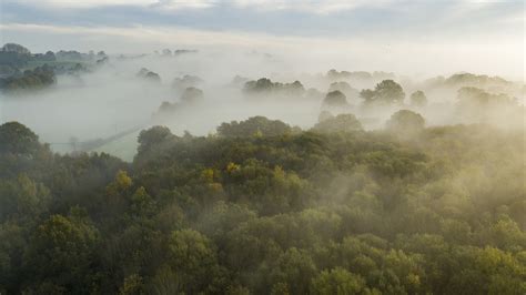 The Top 10 Most Haunted Forests in the World - MyStart