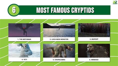 The 6 Most Famous Cryptids, and Where You May Find Them - A-Z Animals