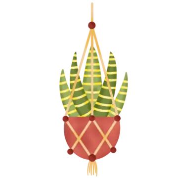 Illustration Of Hanging Plant, Hanging Plant, Plant, Hanging PNG Transparent Clipart Image and ...