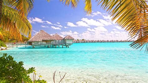 1080x2340px | free download | HD wallpaper: Tropical Beach Bora Bora ...