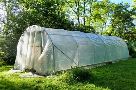 Polytunnel Growing For Beginners * Big Blog of Gardening