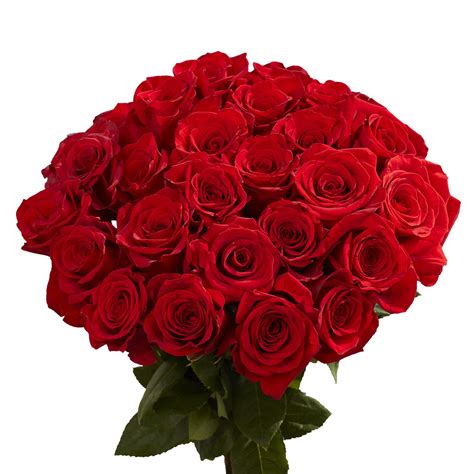 Buy 50 Red Roses- Sweet Fresh Flowers- Guaranteed Next Day Delivery ...