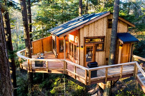 Blog - Nelson Treehouse