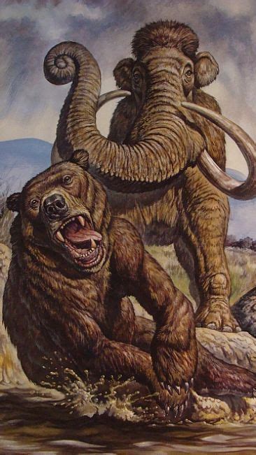 Not many things a bear will run from | Short faced bear, Prehistoric animals, Extinct animals