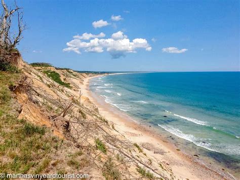 The 10 Best Martha's Vineyard Beaches