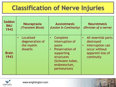 Peripheral Nerve Injuries