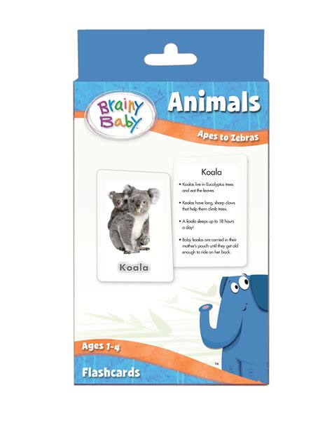 Brainy Baby Animals Flashcards: Apes to Zebras Deluxe Edition - Walmart.com