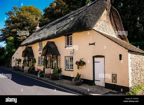 Traditional Thatched roof village cottages in Dorset Stock Photo - Alamy