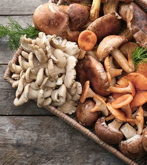 8 Health Benefits of Mushrooms - Post Article