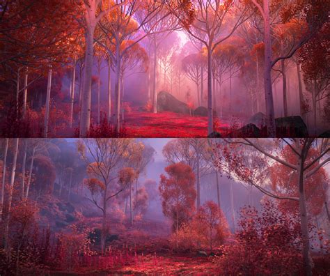 Landscape of The Enchanted Forest in the autumn. 4K landscape ...