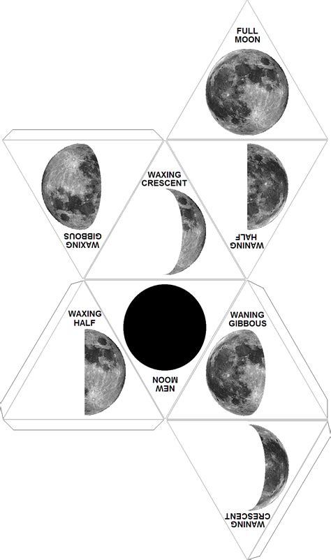 DiceCollector.com's PAPER DICE TEMPLATES | Middle school science, Moon phases, Science education