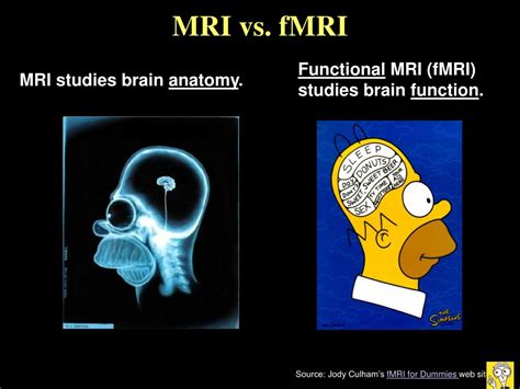 PPT - Functional Magnetic Resonance Imaging ; What is it and what can it do? PowerPoint ...