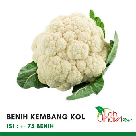 Benih Biji Sayur Bunga Kol Orient Kembang Kol Murah Hemat Repacking Isi ...