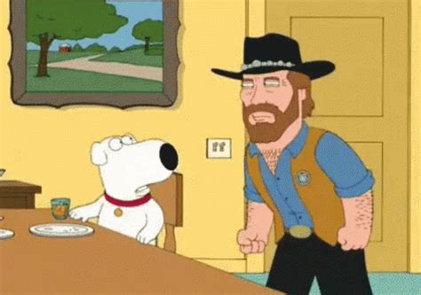 Chuck Norris Punching Brian Dog In Family Guy GIF | GIFDB.com