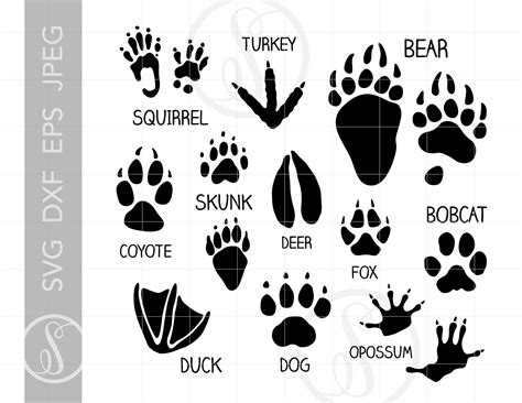 ANIMAL TRACKS Svg Cut File Clipart Downloads Animal Paw - Etsy