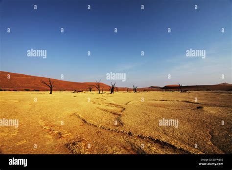 Namib desert on sunset Stock Photo - Alamy