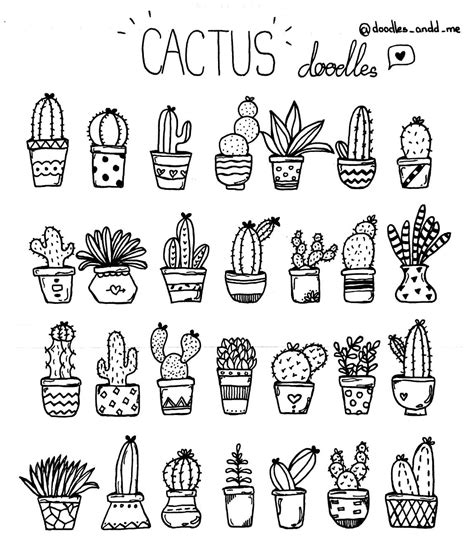 Cactus Doodles 🌵 | Cactus doodle, Easy doodles drawings, Doodle art designs