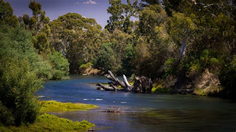 the-goulburn-river-fly-fishing-big - Goulburn Valley Fly Fishing Centre