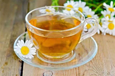 Infusión de manzanilla para quemar grasa - Adelgazar en casa | Chamomile tea, Herbalism, Herbal ...