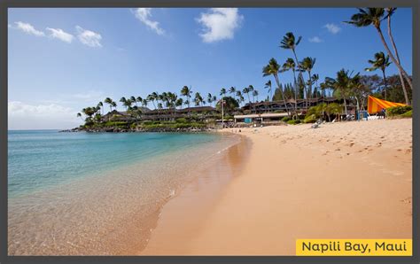 Napili-Bay-3LG-Maui-Snorkeling - The Snorkel Store