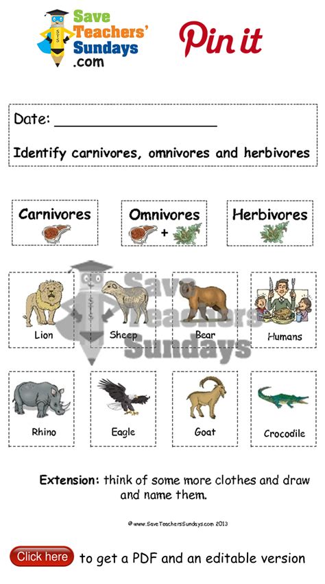 Herbivore Carnivore Omnivore Worksheet - Elementary Mathematics Worksheets