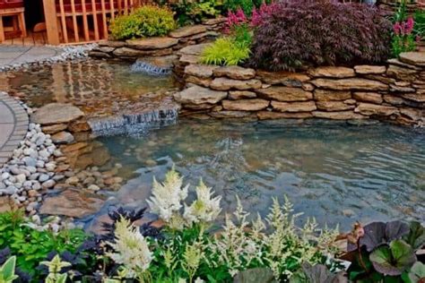 How To Make Your Pond Water Blue | Water Garden Advice in 2020 | Floating pond plants, Ponds ...