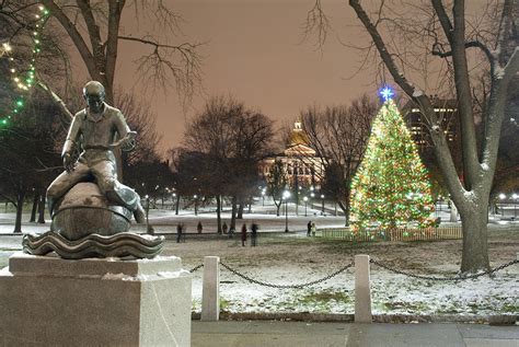 Boston Common Christmas Lights Photograph by Gretchen Lally - Pixels