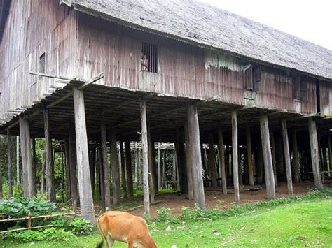 "RUMAH BETANG" The Long House of the Dayak, Borneo