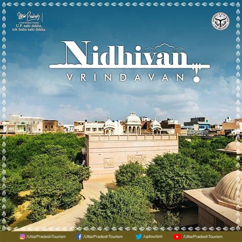 Nidhivan, Vrindavan | Sacred places, Places of interest, Uttar pradesh