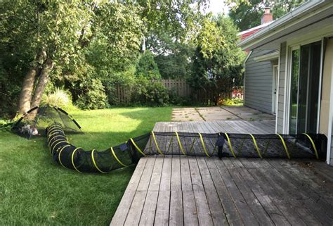 She figured out how to let her cats safely outside without really ...