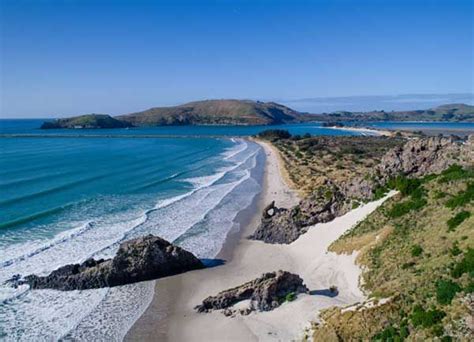 Beaches, Dunedin, New Zealand | Dunedin new zealand, Beach, Dunedin