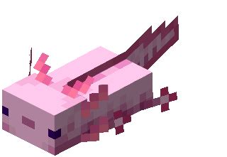 Axolotl | Minecraft Wiki | Fandom