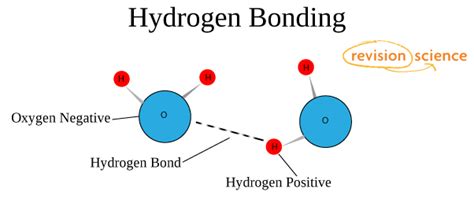 Hydrogen Bonding - A-Level Chemistry Revision