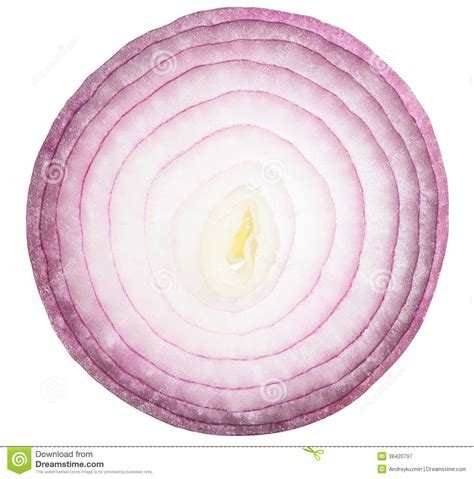 Cut onion clipart - Clipground