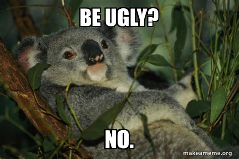 be ugly? no. - Laid Back Koala | Make a Meme