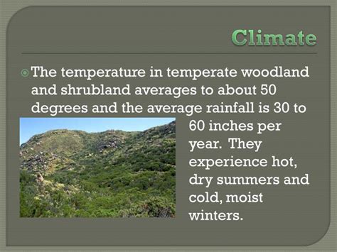 PPT - Temperate Woodland and Shrubland David, Deanna & Kaitlyn ...