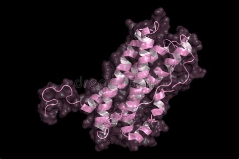 Prolactin structure stock illustration. Illustration of biochemistry ...